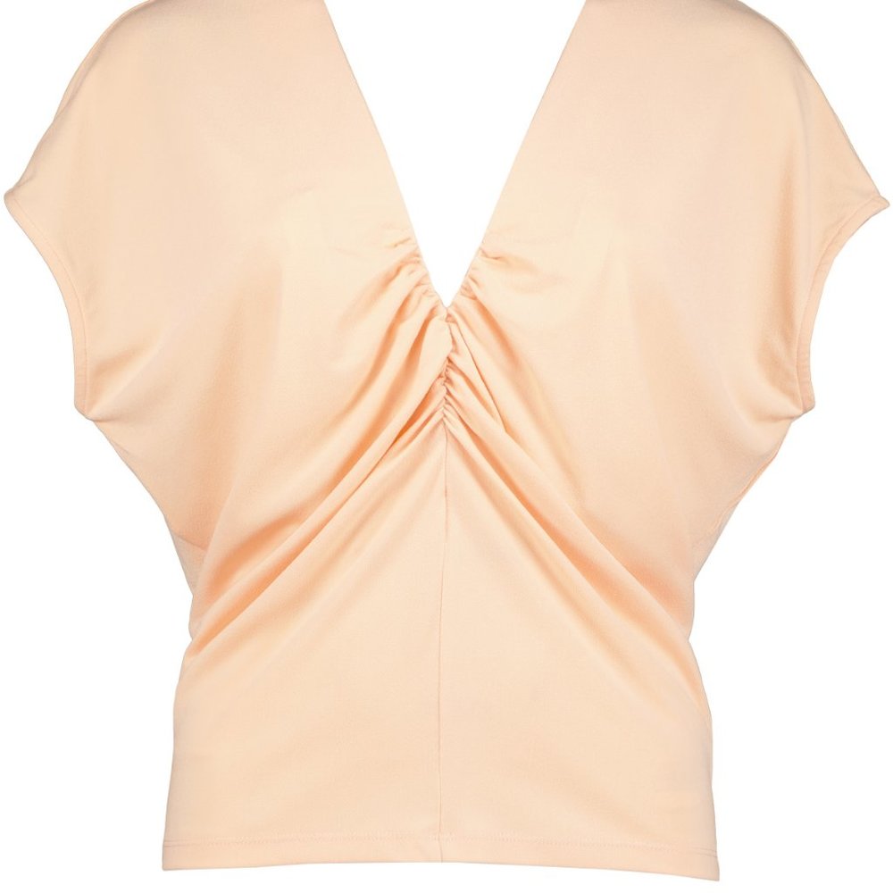 NWT Bishop And Young California Dreaming Ruched Deep V Neck Top In Spritz Tweed